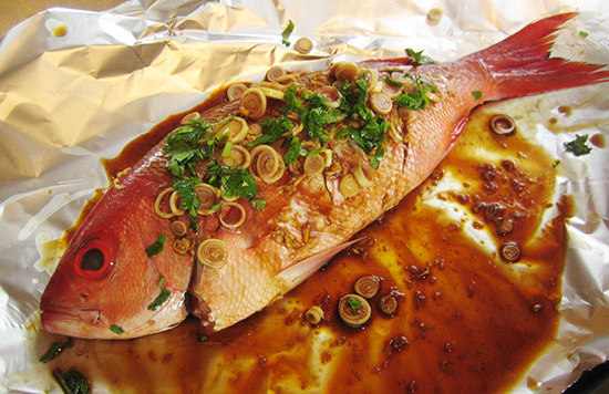 Athene_snapper-on-foil.jpg Athene_snapper-on-foil.jpg